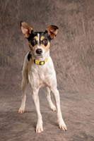 Dottie Ruchlin