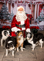 5-Rusty, Belle, Jack and Emmett Serfass