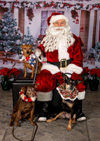 34-Windsor, Wilma and Dino Nastro